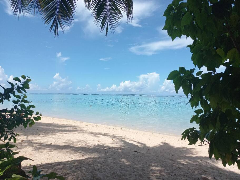 Iolana'S Beach House - Beautiful Home プナアウィア エクステリア 写真